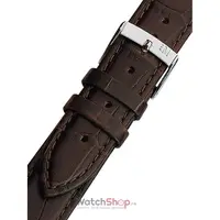 Curea (bratara) ceas Morellato A01X2269480032CR14 Maro 14mm