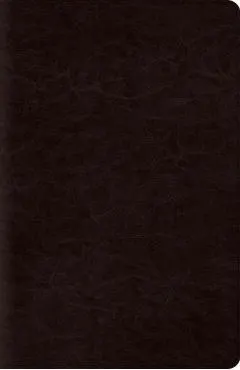 New Classic Reference Bible-ESV