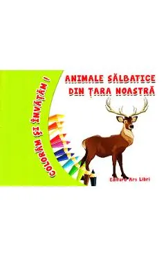 Animale salbatice din tara noastra