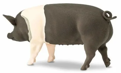 Figurina - Porc Hampshire