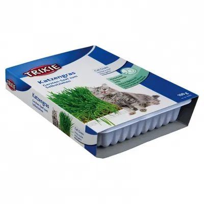 Castron cu seminte de iarba pentru pisici 100 gr