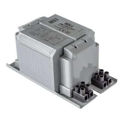 Droser Electromagnetic BHL 125W K202-A2 BC1