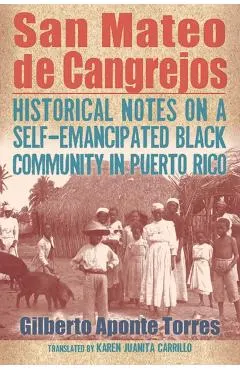 San Mateo de Cangrejos: Historical Notes on a Self-Emancipated Black Community in Puerto Rico