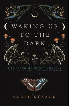 Waking Up to the Dark: The Black Madonna's Gospel for an Age of Extinction and Collapse