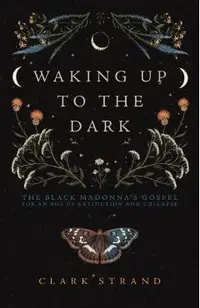 Waking Up to the Dark: The Black Madonna's Gospel for an Age of Extinction and Collapse