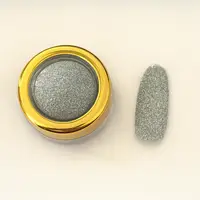 Glitter Unghii Nailsup Silver
