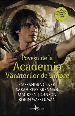 eBook Povesti de la Academia vanatorilor de umbre - Cassandra Clare, Sarah Rees Brennan, Maureen Johnson, Robin Wasserman