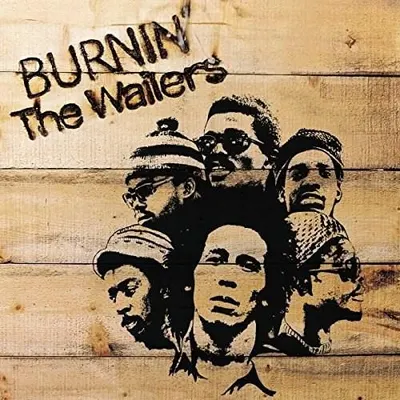 Burnin' Vinyl