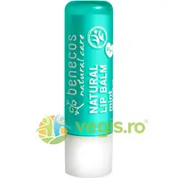 Balsam de Buze cu Unt de Shea si Menta 4.8g