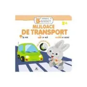 Mijloace de transport. Iepurasul Bunny