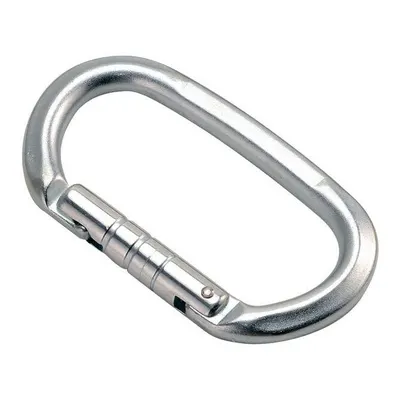 Carabină Climbing Technology Pillar Steel CF