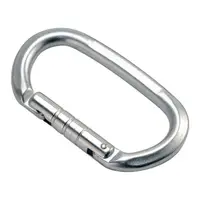 Carabină Climbing Technology Pillar Steel CF