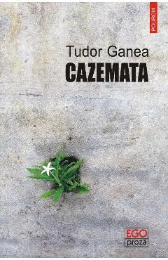 eBook Cazemata