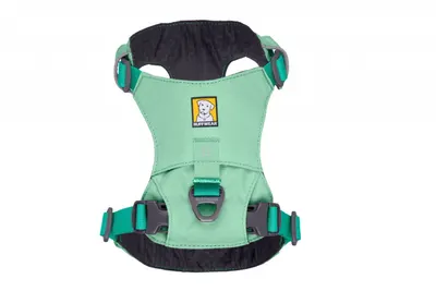Ham ajustabil, verde salvie, cu tiv reflectorizant, L-XL (81-107 cm)