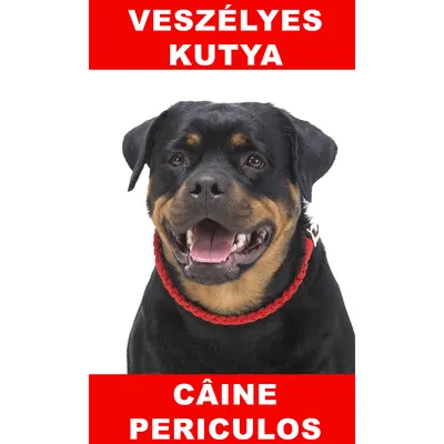 Indicator caine periculos Rottweiler Bilingvă