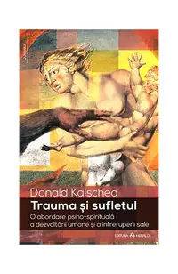 Trauma și sufletul - Paperback - Donald Kalsched