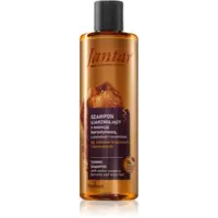Farmona Jantar Amber Essence șampon pentru par ondulat si cret