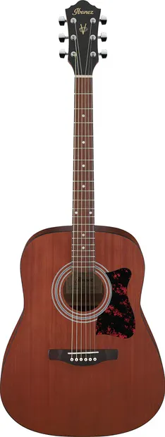 Chitara acustica Ibanez - V54NJP, Open Pore Natural