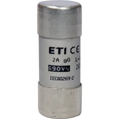 Siguranta CH22x58 gG 2A/690V 002651036