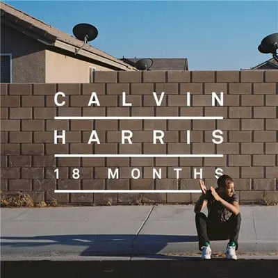 18 Months - Vinyl