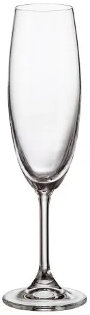 Pahare de șampanie Bohemia - Sylvia, 220 ml, 6 buc