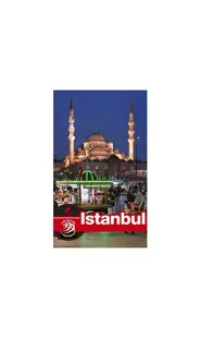 Istanbul - Paperback brosat - Dana Ciolcă