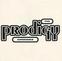 Experience - Vinyl
