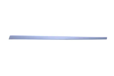 Bandou usa dreapta potrivit FORD FIESTA V 3D 2005-2010 - (grund)