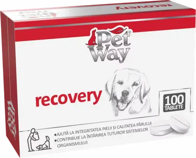 PetWay Recovery, 100 tablete