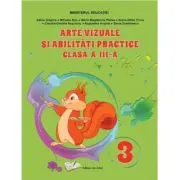 Arte vizuale si abilitati practice manual pentru clasa a 3-a