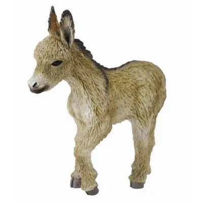 Manz mergand - Collecta