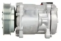 Compresor climatizare potrivit ALFA ROMEO 147, 156, 166, GT, GTV, SPIDER; LANCIA KAPPA, THESIS 2.0-3.2 09.94-09.10