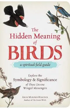 Hidden Meaning of Birds--A Spiritual Field Guide