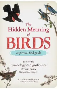 Hidden Meaning of Birds--A Spiritual Field Guide