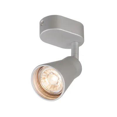 Corp iluminat TAVAN, AVO Wall Luminita GU10, interior GRI de perete Deschis sI TAVAN Montat pe plan Suprafete, QPAR51, Argintului, max. 50W