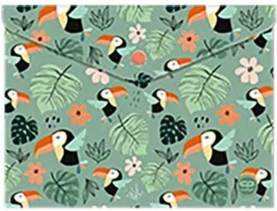Mapă cu capsă Cool Pack Toucans - A4