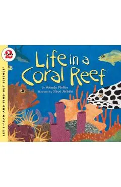 Life in a Coral Reef