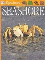 Seashore
