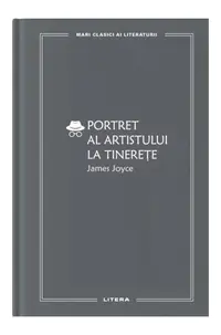 Portret al artistului la tinerețe (Vol. 41) - Hardcover - James Joyce