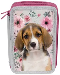Penar școlar Paso Dog - Cu 2 compartimente