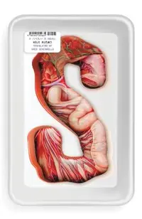 S (Paperback)