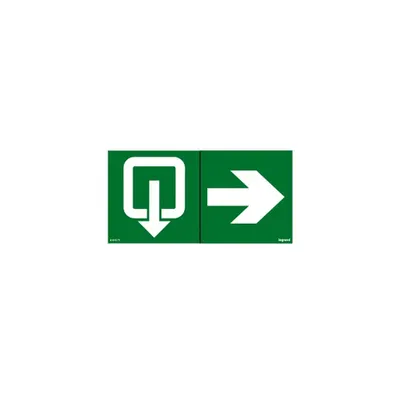 Label - pentru emergency lighting luminaires - exit Usa on right - 100 x 200 mm