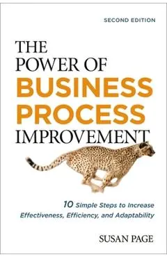 The Power of Business Process Improvement: 10 Simple Steps to Increase Effectiveness, Efficiency, and Adaptability