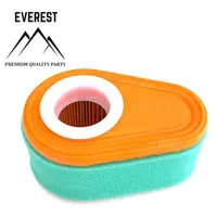Filtru de Aer Briggs&stratton Dov Everest