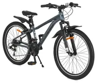 Bicicletă cu viteze Byox Whizzy - 24'', gri