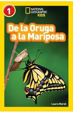 National Geographic Readers: de la Oruga a la Mariposa (Caterpillar to Butterfly)