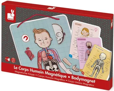 Jucarie magnetica pentru copii - Anatomia corpului uman
