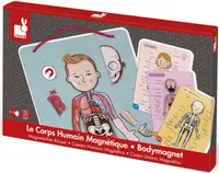 Jucarie magnetica pentru copii - Anatomia corpului uman