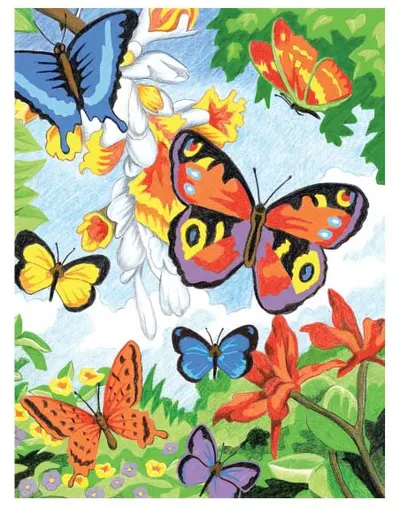 Set de desen cu creioane colorate Royal - Fluturi, 22 x 30 cm