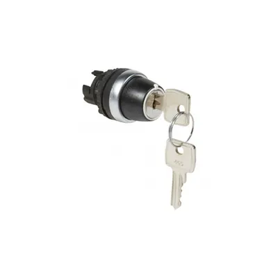 Osmoz non illuminated key selector switch - 2 stay-put positions 90°